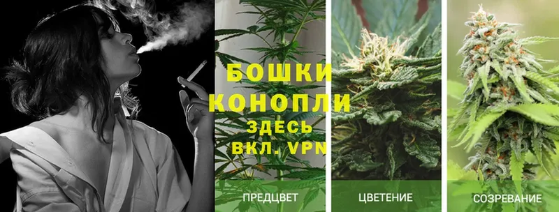 наркота  Правдинск  маркетплейс формула  МАРИХУАНА OG Kush 